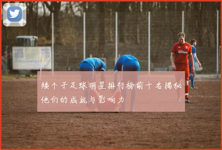 矮个子足球明星排行榜前十名揭秘他们的成就与影响力