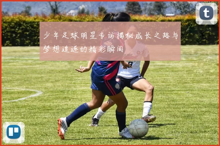 少年足球明星专访揭秘成长之路与梦想追逐的精彩瞬间