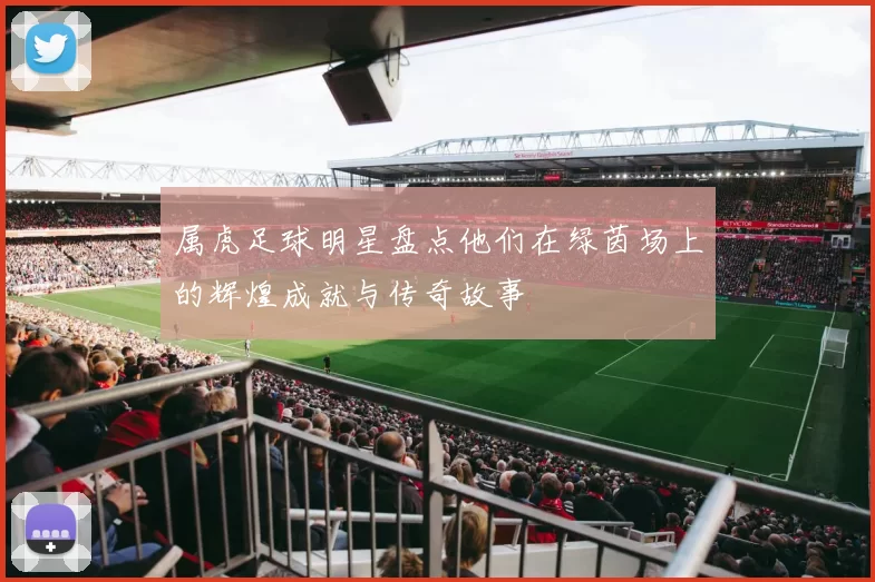 属虎足球明星盘点他们在绿茵场上的辉煌成就与传奇故事