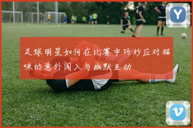 足球明星如何在比赛中巧妙应对猫咪的意外闯入与幽默互动