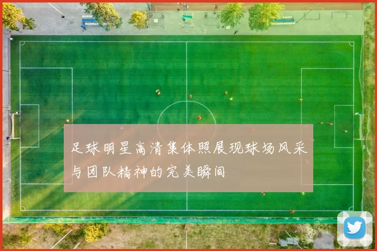 足球明星高清集体照展现球场风采与团队精神的完美瞬间
