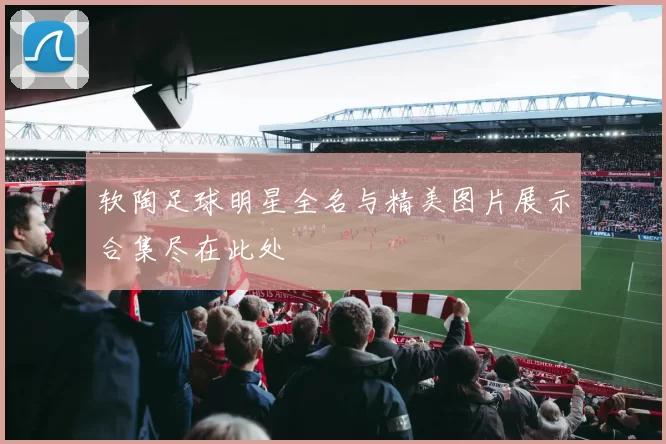 软陶足球明星全名与精美图片展示合集尽在此处