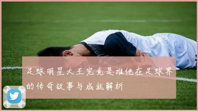 足球明星大王究竟是谁他在足球界的传奇故事与成就解析